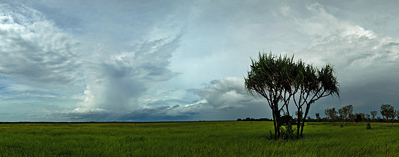 South Alligator Wetlands in Gudjewg