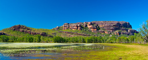 Anbangbang Billabong looking towards Nourlangie