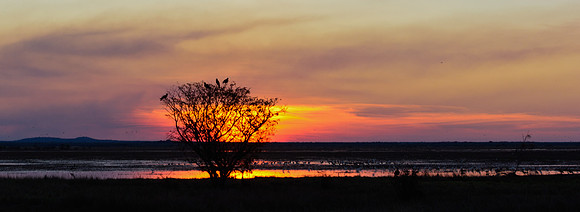 Sundown, Goose Camp