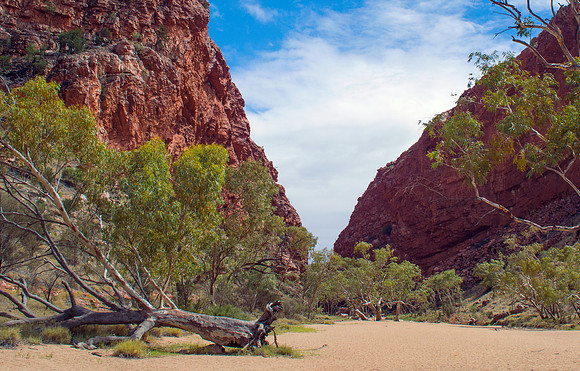 Simpsons Gap, Larapinta Trail