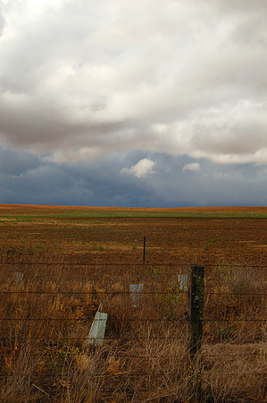 This is Australia Series - Monaro Plains, NSW