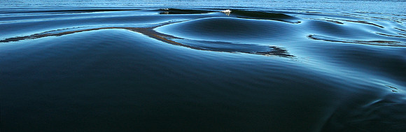 Water Series - Lake Jindabyne, NSW