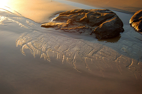 Into the Sea Series - Mooloolaba, QLD
