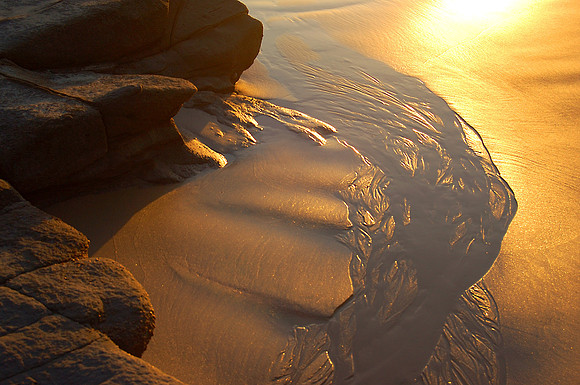 Into the Sea Series - Mooloolaba, QLD