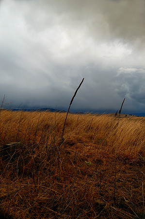 This is Australia Series - Monaro Plains, NSW