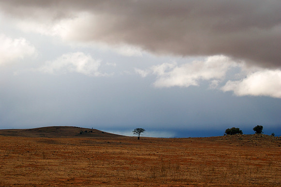 This is Australia Series - Monaro Plains, NSW