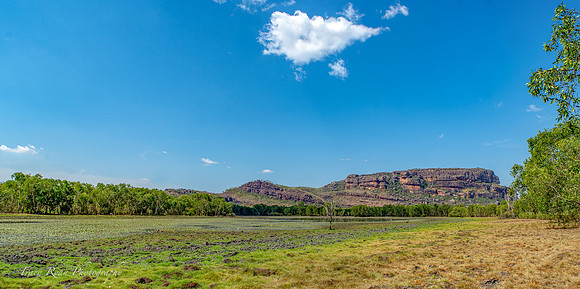Anbangbang billabong