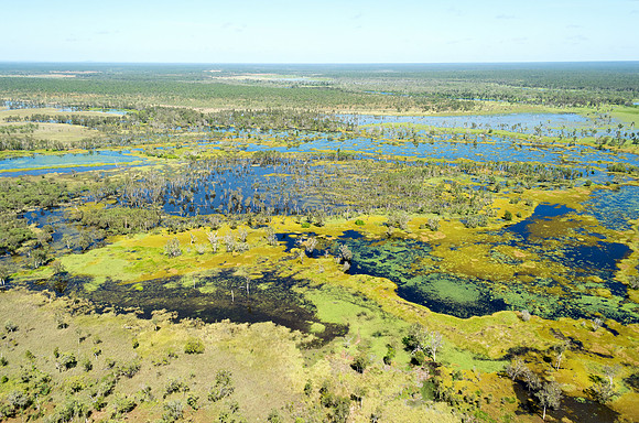 East Alligator Floodplains