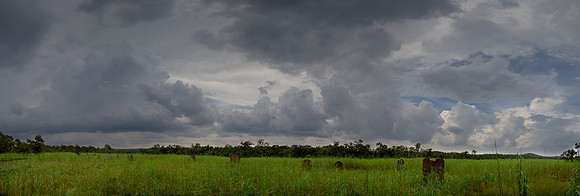 Thunderstorm Approaching. Magnetic Termite Mounds, Litchfield National Park