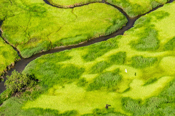 On the way to Yellow Water