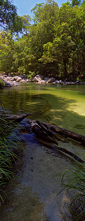 Mossman Gorge