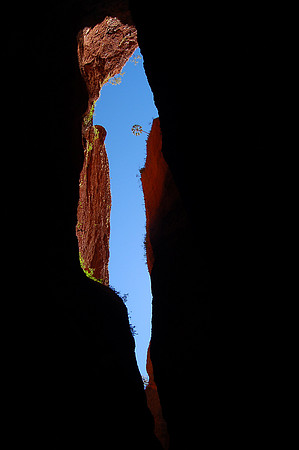 Look Up... Mini Palms Gorge