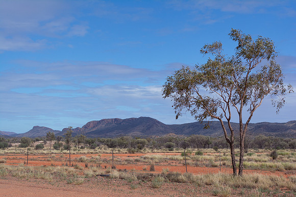 On the Larapinta Trail to Simpsons Gap