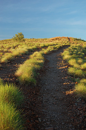 Spinifex to the Sunset, Purnululu National Park, Western Australia