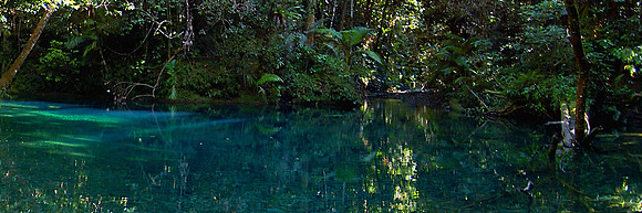 Blue Water Pool, The Daintree, Far North Queensland