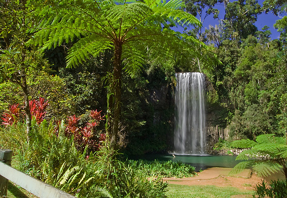 Millaa Millaa Falls, Atherton Tableland