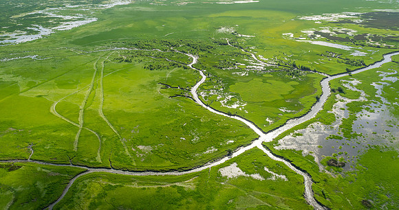 Where the South Alligator River starts