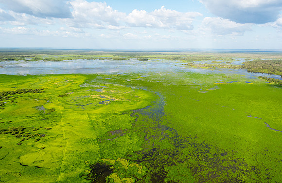South Alligator Wetlands near Yellow Water