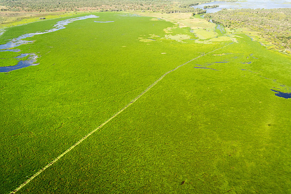 Air boat tracks through the wetlands