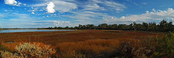 Leschenault Wetlands, Leschenault National Park, Western Australia